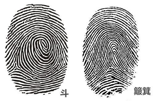 手指上的斗和簸箕,不同斗数不同命!-新闻频道-手机搜狐